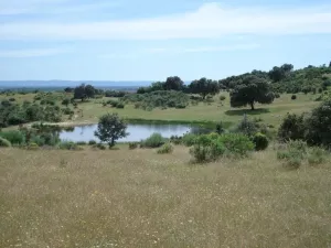 Finca de recreo en venta en Jaraíz de la Vera