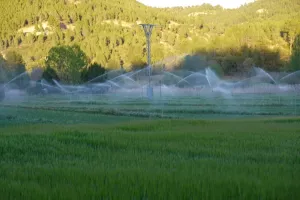 Finca cinegética, agrícola regadío Ref. .1527