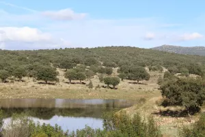 Espectacular finca en Toledo Ref. 1528