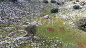 Exclusiva finca de caza en Grazalema
