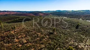 Finca agrícola de regadío en Huelva