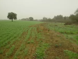 Excelente Finca de 435ha a 15 km de Badajoz