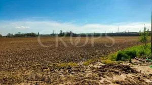 Finca agrícola de regadío en Madrid