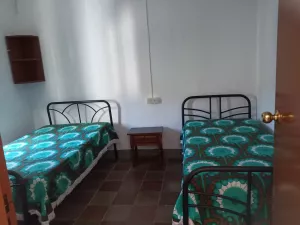 finca  pequeña de olivos