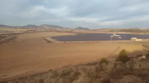 Disponibilidad cultivo de cáñamo industrial