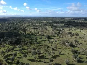 Finca en venta Zona Cáceres