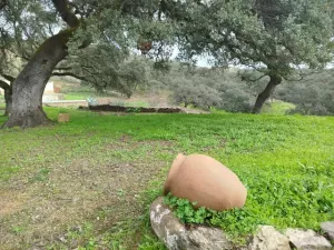 VENTA FINCA EN SIERRA DE ARACENA Y PICOS DE A