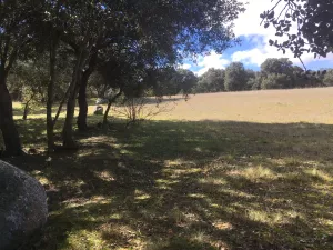 VENTA FINCA RUSTICA SEGOVIA