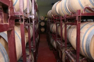 Vendo bodega y viñedos D.O. Ribera de Duero
