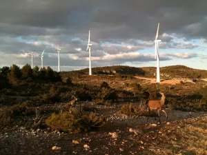 FINCA CINEGETICA Y DE RECREO EN VALENCIA