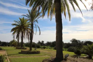 FINCA DE CAZA Y CORCHO EN HUELVA - 1447