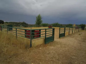 FINCA DE RECREO Y GANADERA EN GUADALAJARA