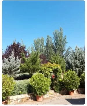 Finca 1.8 ha con Chalet 340 m2 en Badajoz