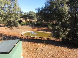 FINCA DE LABOR Y CAZA MENOR EN CIUDAD REAL