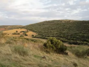 FINCA AGRICOLA, RECREO Y CAZA EN CIUDAD REAL