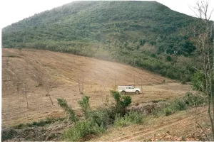 VENDO FINCA GIJANO DE MENA (BURGOS)