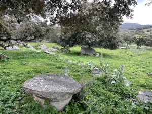 Finca 114 ha de dehesa en Montánchez, Cáceres