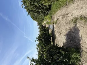 Finca de naranjos en Palma del Río