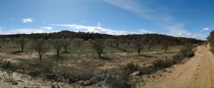 Finca Rustica Fabara Locatión