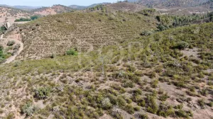 Finca ganadera en Huelva con vivienda y caza