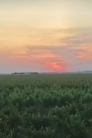 Finca rural con perforación propia