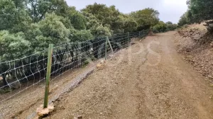 Venta finca de caza con vivienda en Zaragoza