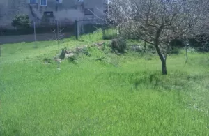 SE VENDE finca en URRIA (Norte de Burgos)