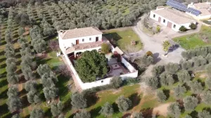 Venta finca de recreo en finca la basílica