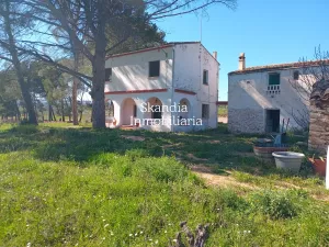 Finca Viñedo con Masia en Produccion