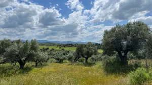 Finca Valdeverdeja
