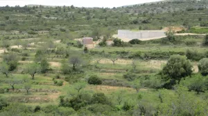Finca vista mar, pozo y permiso construir