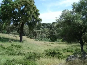Finca de recreo en venta en Jaraíz de la Vera