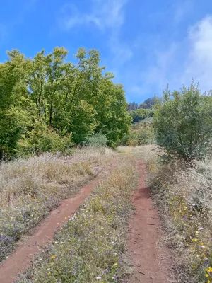 FINCA 31.616 M2 GRAN CANARIA (ISLAS CANARIAS)