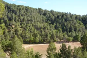 Finca cinegética, agrícola regadío Ref. .1527
