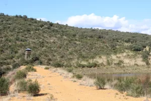 Espectacular finca en Toledo Ref. 1528