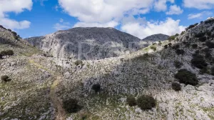 Exclusiva finca de caza en Grazalema