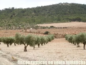finca en venta 321 has viña olivar caza menor