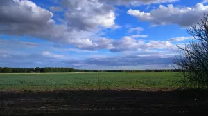 Se vende finca regadío 200 Has