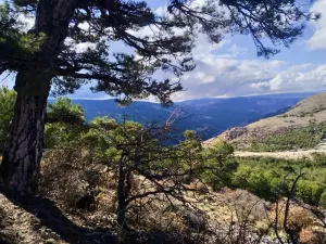 Finca y Establecimiento Turistico