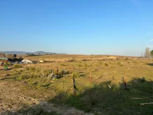 Finca Rústica 2 Hectáreas en Quijorna