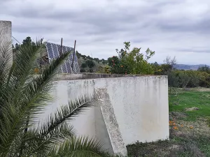 FINCA REGADÍO ALOZAINA