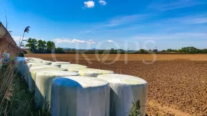 Finca agrícola de regadío en Madrid