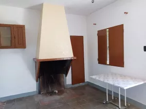 finca  pequeña de olivos