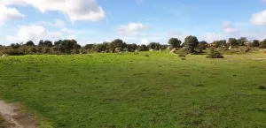 Finca en venta Zona Cáceres