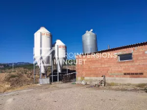 Se Vende Granja de Cerdas en Lleida