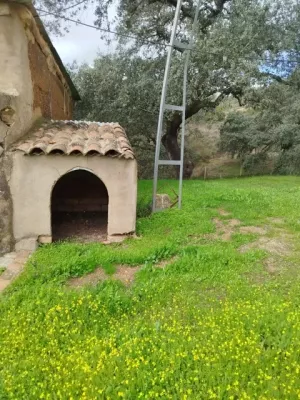 VENTA FINCA EN SIERRA DE ARACENA Y PICOS DE A