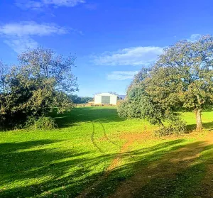 Dehesa en Cáceres