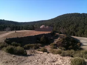 FINCA CINEGETICA Y DE RECREO EN VALENCIA
