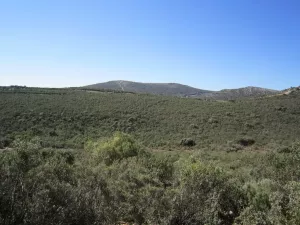 FINCA CINEGETICA EN CIUDAD REAL - 1416