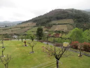 FINCA CON VIÑEDO EN ORENSE - 1362